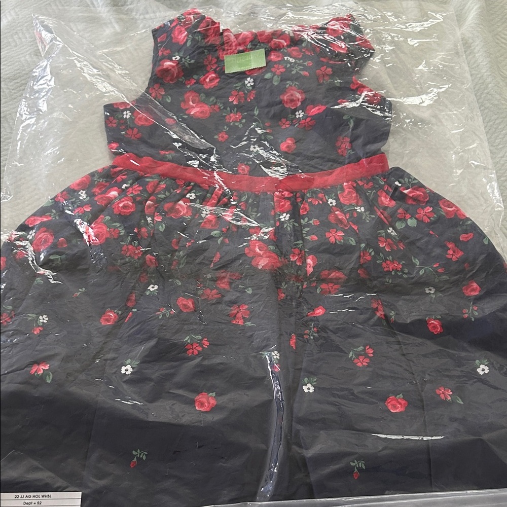 Janie and Jack X American girl doll red roses dress, size 5